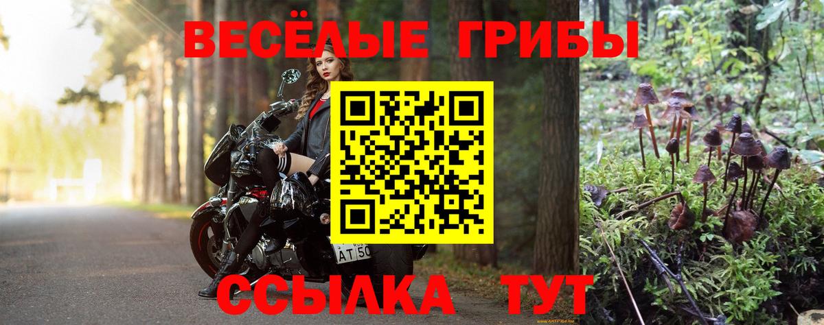 Пенза  Галлюциногенные грибы Psilocybe  Вход с VPN 