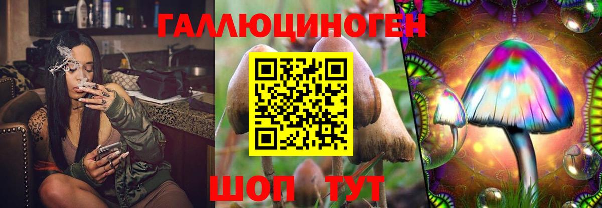 Галлюциногенные грибы мухоморы Пенза