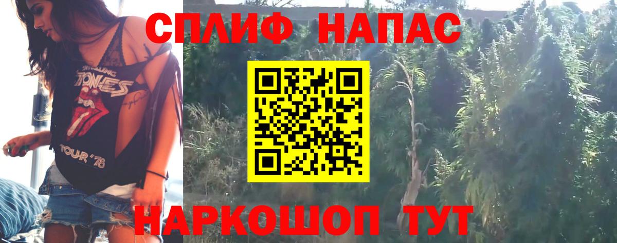 Шишки марихуана конопля  Вход с VPN  Конопля THC 21%  Каннабис VHQ  Пенза 